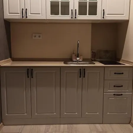 President Iii Lejlighed *