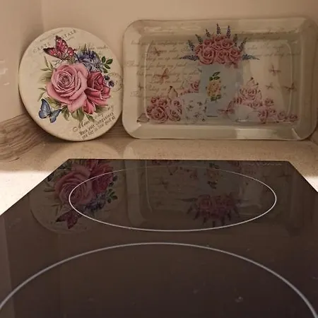 President Iii Lejlighed Banja Luka